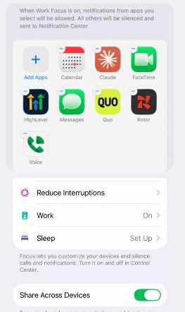 iPhone Focus settings with Rotor in the allowed apps list